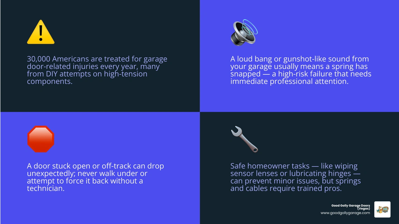 infographic showing when to call a professional for garage door problems vs safe DIY tasks infographic